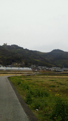 2012030712270000.jpg