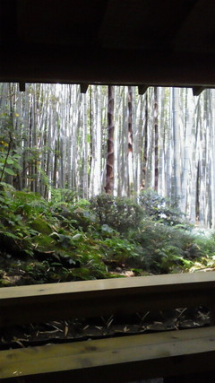 2012051413210000.jpg