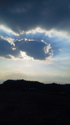 2012101515560000.jpg