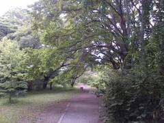IMG-20150514-00120.jpg