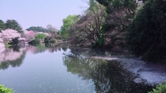 IMG_9233.jpg